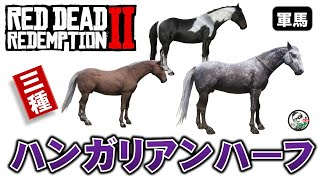 【RDR2】ハンガリアンハーフ 3種