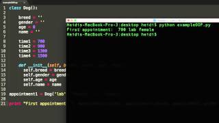 OOP: Creating Classes and Objects in Python