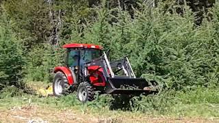 Bush cutting 2017 with a TYM 654 tractor