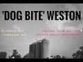 Olympus XA2   |   Frugal Film Project  |   Meeting 'Dog Bite' Weston