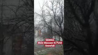 Serbia#snowfall#enjoying#shorts#youtubeshorts