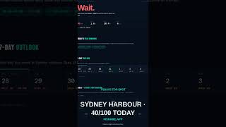 Laporan Perikanan Sydney — 28 Mei 2026 #Cuplikan