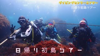 初島日帰りダイビングツアー