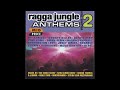 Various - Ragga Jungle Anthems Vol. 2 (1996)