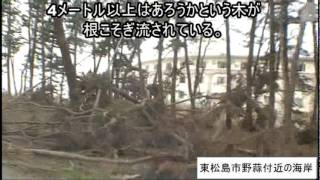 東日本大震災の被災地・宮城県を行く1　東松島市野蒜