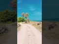 ඩෙල්ෆ් දූපතේ සිට ✨ delft island nature travel srilanka shorts viral trending fyp