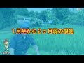 はかせが解説「中干しをいつ始めるか、中干しをいつ始めるかの計算方法」