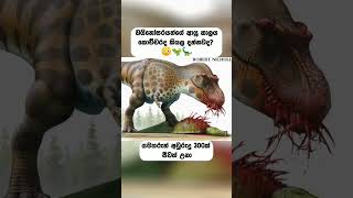 සමහරුන් අවුරුදු 300ක් ජීවත් උනා!😳🦖🦕@worldmindofficial#shorts