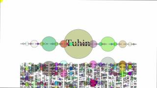 Audio Visual Animation Using - processing