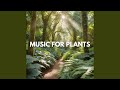 Root Rhythms