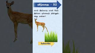 312 - தமிழ் விடுகதை |Tamil Riddle with answer | Riddle in Tamil | Tamil vidukathaigal | Tamil Quiz