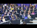 dieses land wird von idioten regiert alice weidel afd fraktion