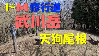 【奥武蔵】武川岳　2023. 4. 11