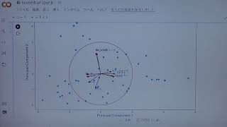 統計局が公開している「主成分分析」を動かしました。