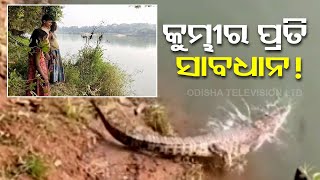 Crocodile fear grips Jajpur villagers