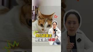 这些网红逗猫法其实是在虐猫，千万别模仿！ #宠物知识#宠物#兽医