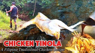 Cooking Native Chicken Tinola with Moringga| Filipino Traditional Chicken Recipe 🐔