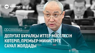 Депутат бұралқы иттер мәселесін көтеріп, Премьер-Министрге сауал жолдады