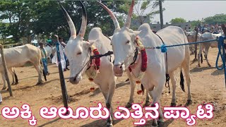 Akki Alur Bulls Market ||| ಅಕ್ಕಿ ಆಲೂರ್ ಎತ್ತಿನ ಪ್ಯಾಟಿ ||| Every Tuesday Morning Bazor 6am to 4pm |||