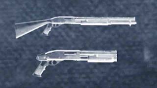 psa: shotguns