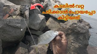 അടിപൊളി വറ്റ പിടുത്തം | Trevally Fishing | #fishing #trevally