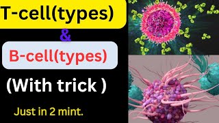 Trick for types of T -cell and B - cell# easy trick 🤩#biology beats #medico