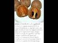 sapota fruit benefits bones strength💪💪 u0026 skin shiny etc.... like subscribe support enjoy