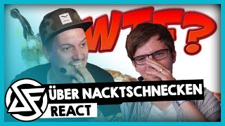 REACT: 10 kuriose Fakten über Nacktschnecken