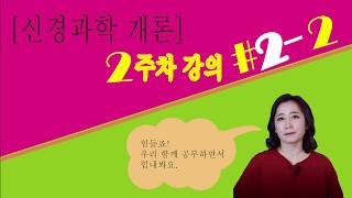 [신경과학개론] 2주차 #2-2 신경세포