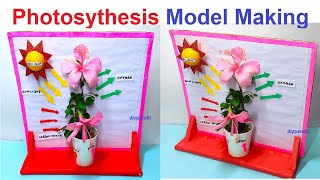 photosynthesis model making - simple and easy - diy science project for exhibition | DIY pandit
