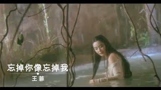 忘掉你像忘掉我 王菲 violin cover