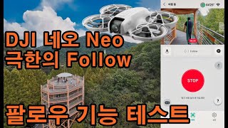 DJI Neo 네오 좁은길 팔로우 기능 영상! Follow 나의 개인 Vlog 드론 촬영감독! DJI Neo on a long and narrow forest adventure