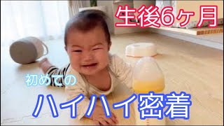 【生後6ヶ月】ズリバイとハイハイが出来るまで【密着】