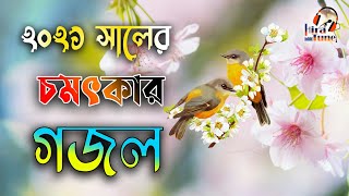 নবীর সানে খুবই সুন্দর গজল ! bangla gojol | gazal | naat | new ghazal | islamic gojol | gozol bangla