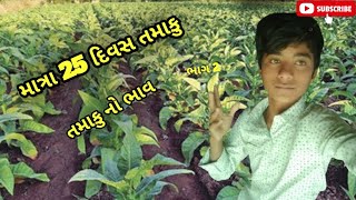 માત્ર 25 દિવસ.  ની તમાકુ .......   તમાકુ નો ભાવ 🙄🙄. #trending #trending #vlogvideobangladesh