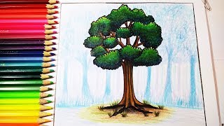 วาดภาพต้นไม้ How to draw Tree