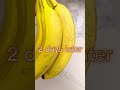 the fast way to ripen bananas