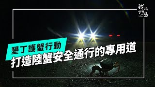 陸蟹的彼岸｜造一條牠們專用道路(我們的島 第1241集 2024-01-29)