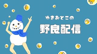 （声なし）【サーモンランNW】夜中のアラマキ砦野良１０戦