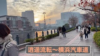 【カメラ】逍遥流転〜横浜汽車道（動画寸景）