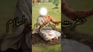 Hazrat ayoub as ka waqia | Islamic stories in urdu | Islamic videos | Islami waqiat | Story.info