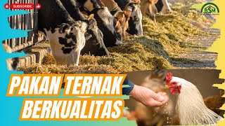 CARA MEMBUAT PAKAN TERNAK BERKUALITAS PREMIUM