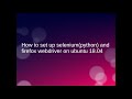 How to set up selenium(python) and Firefox Webdriver on Ubuntu 18.04
