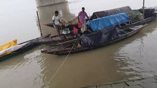 তিস্তা নদীর মাঝিরা যেভাবে নৌকায় করে মাছ ধরে ঘাটে নিয়ে আসে(মহিপুর ঘাট)