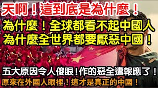 我的天啊！這到底是為什麼！為什麼！全球都看不起中國人！為什麼全世界都要排斥中國！令人厭惡！五大原因令14億人徹底傻眼！此前作的惡全都遭報應了！小粉紅們！原來在外國人眼裡！這才是真正的中國！