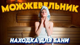 МОЖЖЕВЕЛОВЫЙ ВЕНИК ДЛЯ БАНИ! плюсы можжевелового веника! польза можжевельника!