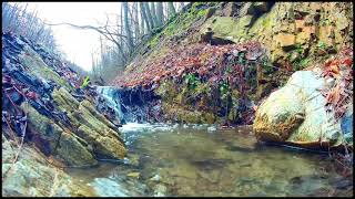 Sound of water in a mountain stream 山间小溪流水声 산속의 시냇물 흐르는 소리