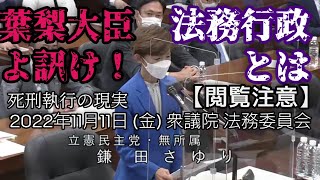 2022年11月11日 (金) 衆議院 法務委員会 鎌田さゆり(立憲民主党・無所属)議員質疑