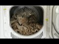 GE Spacemaker GUD 24 inch DRYER : Overview & Drying Tips : Sample Dryer Cycle