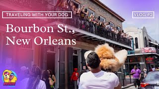 TRAVELING WITH YOUR DOG | Bourbon Street, New Orleans | Dog Vlog #2 |